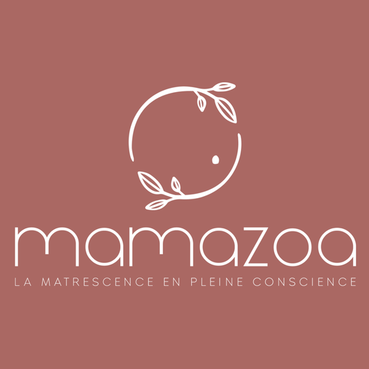 Mamazoa : box grossesse & post-partum, de l'idée au projet