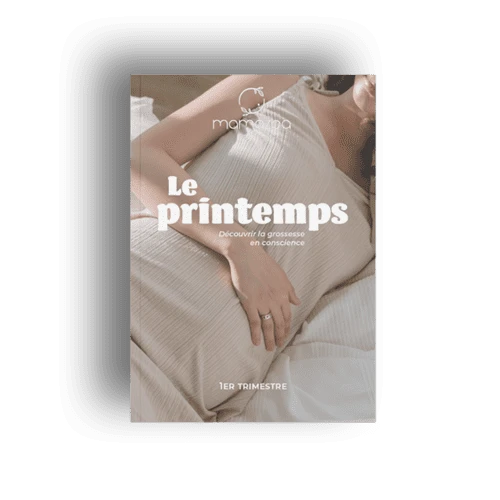 Guide Le Printemps · Grossesse · 1er trimestre