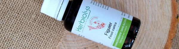 Le bourgeon de figuier sans alcool : un remède naturel efficace contre le stress et les reflux, de la grossesse au post-partum, pour maman et bébé !