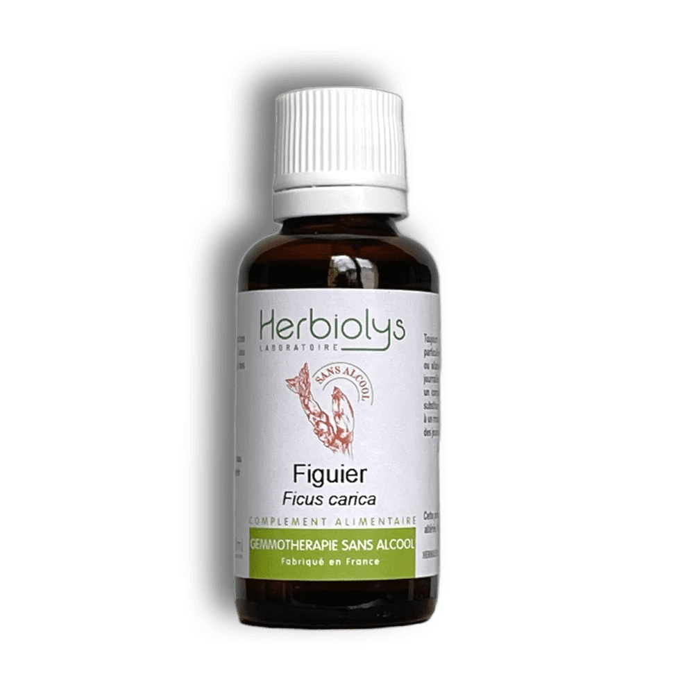 Bourgeon de Figuier Sans Alcool · Reflux Stress Maman & Bébé RGO