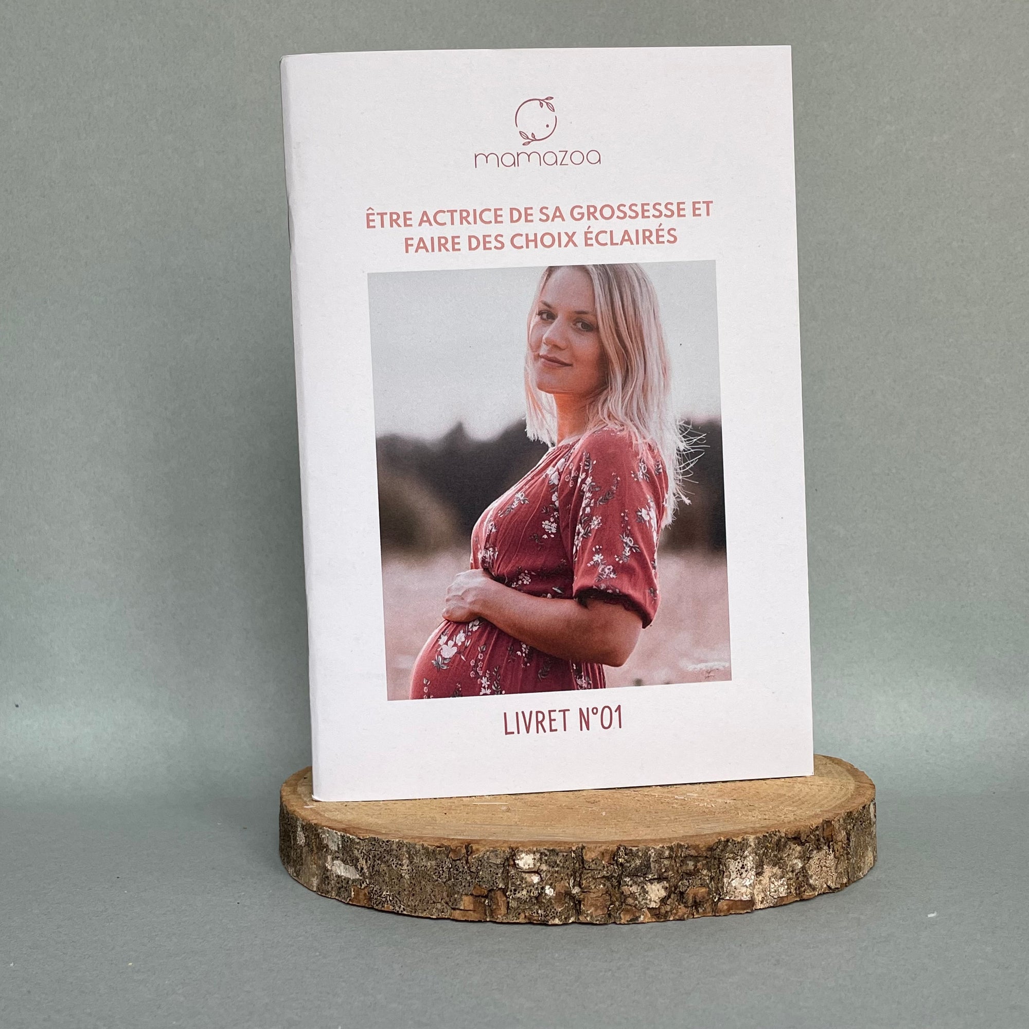 Lot 8 livrets ancienne édition - grossesse - accouchement - postpartum - allaitement
