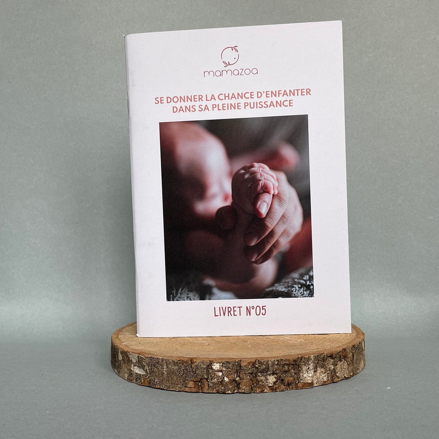 Lot 8 livrets ancienne édition - grossesse - accouchement - postpartum - allaitement