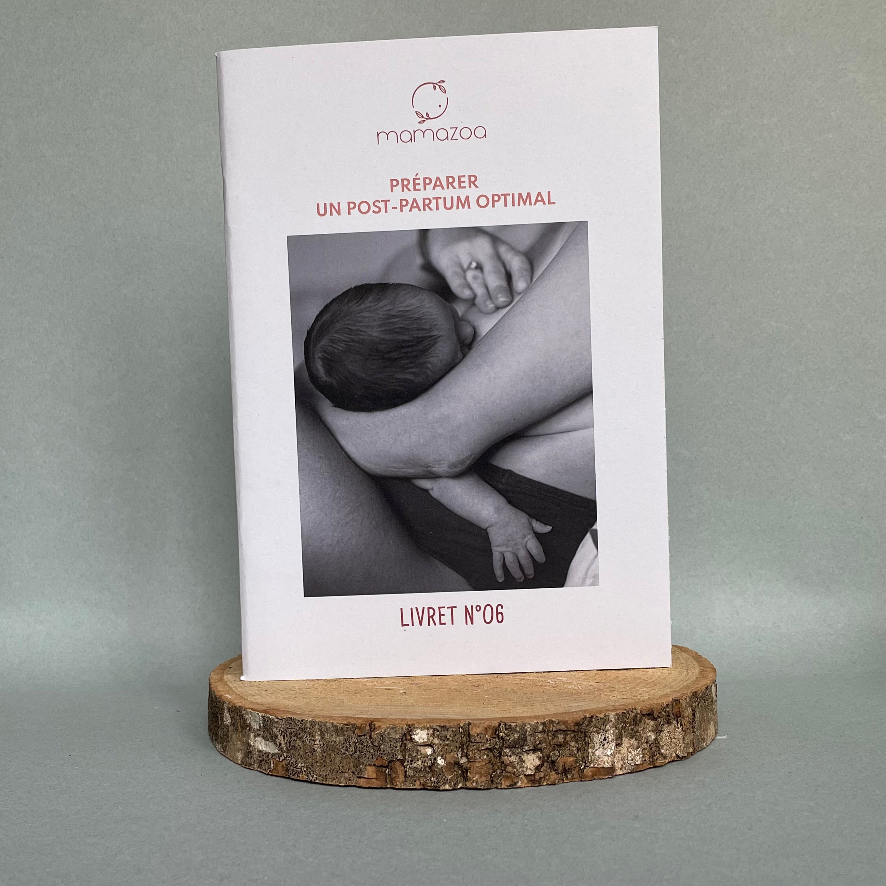 Lot 8 livrets ancienne édition - grossesse - accouchement - postpartum - allaitement