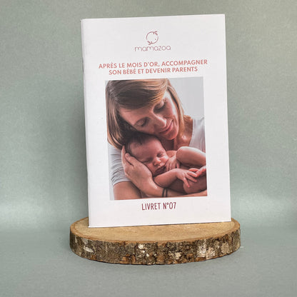 Lot 8 livrets ancienne édition - grossesse - accouchement - postpartum - allaitement
